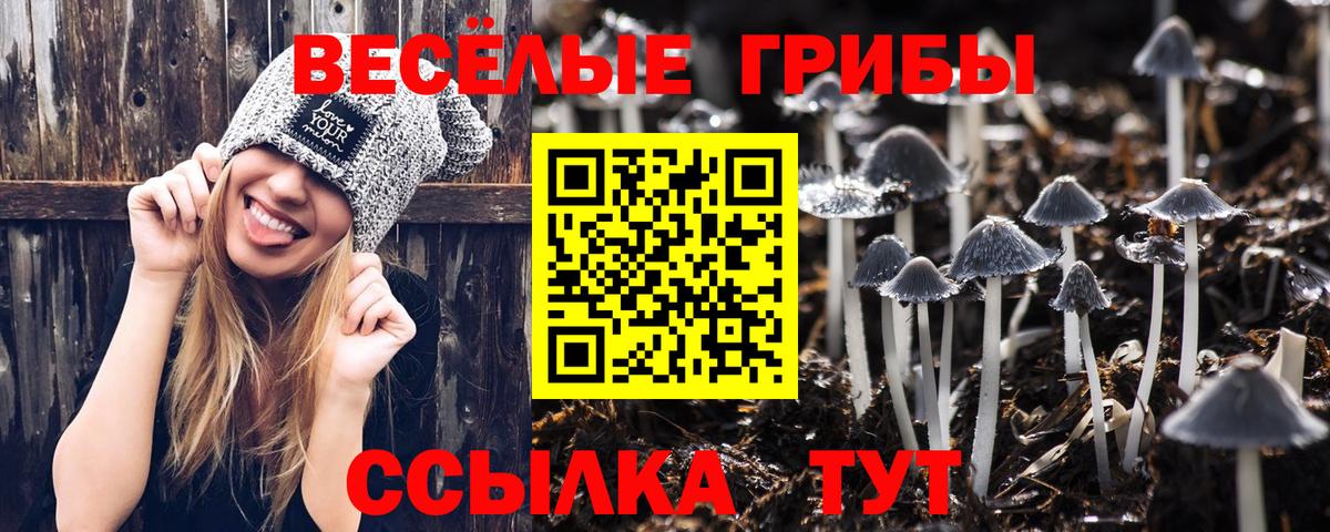 Ачхой-Мартан  Псилоцибиновые грибы Psilocybe  Галлюциногенные грибы MAGIC MUSHROOMS  Вход с VPN 