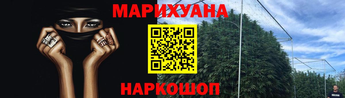 Ачхой-Мартан  Бошки Шишки планчик  Вход с VPN  Шишки марихуана сатива 